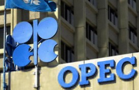 Peluang Penurunan Produksi OPEC Mengecil