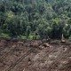 Pemerintah Stop Izin Perkebunan di Lahan Gambut