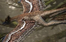 Fosil T-Rex Mini Ditemukan di Korea