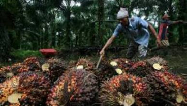 TRIWULAN III: Pertumbuhan Ekonomi Sumbar Hanya 5,8%