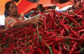 Cabai Merah Pemicu Inflasi Sumsel 2,1%