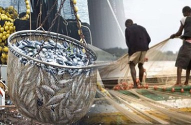 Bahan Baku Kurang, Utilisasi Pengolahan Ikan di Kota Bitung Rendah