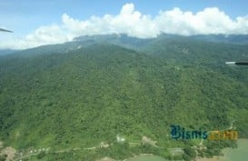 KERUSAKAN ALAM: Hutan Tembawang dalam Ancaman Serius