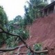 Petugas Mitigasi Bencana Cek Laporan Tanah Bergerak di Banjarnegara