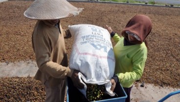 Mahasiswi Widya Mandala Perkenalkan Jelly dari Kopi Arabika Flores