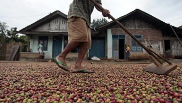 AEKI Desak Tunda Penerapan PPN