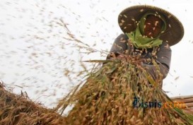 Dorong Swasembada Beras di Sumsel, Mentan Percepat Perbaiki Irigasi