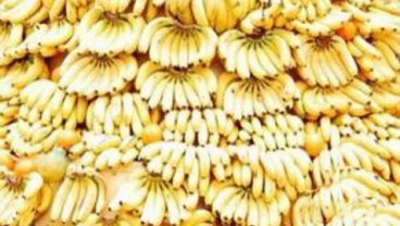 Pisang Bermerek Serbu Pasar Tradisional