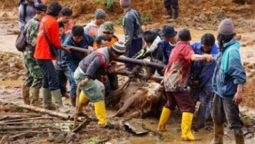 LONGSOR BANJARNEGARA : 12 Jenazah Ditemukan, 7 Teridentifikasi