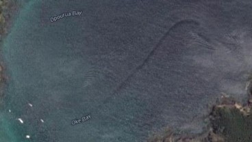 Ada Penampakan Misterius di Laut Selandia Baru