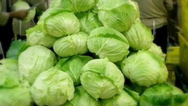 6 Makanan Murah Meriah Pembakar Lemak