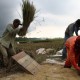 ALIH FUNGSI LAHAN: Sawah di Cimahi Tinggal 600 Ha