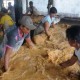 Pemprov Riau Minta Daerah Kembangkan Industri Sagu