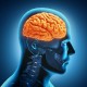7 Tips Menjaga Otak Tetap Tajam Dan Sehat
