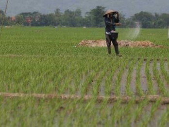 Bandung Tetapkan Lahan Abadi Pertanian 32.000 Ha