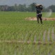 Bandung Tetapkan Lahan Abadi Pertanian 32.000 Ha