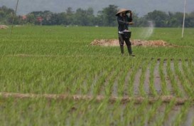 Bandung Tetapkan Lahan Abadi Pertanian 32.000 Ha