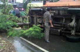 JAKARTA DIGUYUR HUJAN: Pohon Tumbang Timpa Mobil Boks