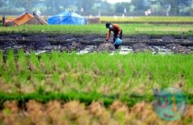 Thailand-China Tingkatkan Kerja Sama Pertanian