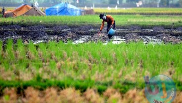 Thailand-China Tingkatkan Kerja Sama Pertanian