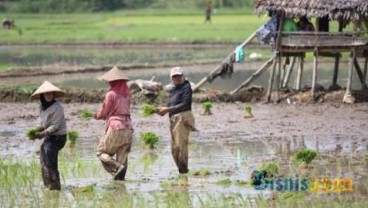 SWASEMBADA PANGAN: Apa Itu One Map Policy? Ini Penjelasannya