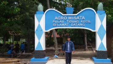 Wah, Pulau Tidung Bakal Buka Museum Ikan Paus