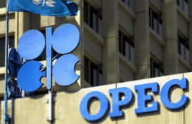 HARGA MINYAK 2015: OPEC Pesimistis Bisa Capai US$100/Barel Dalam 2 Tahun