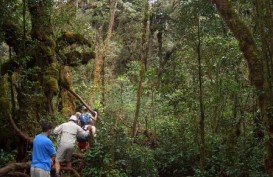 Malaysia Dilanda Hujan Terlebat Sepanjang 40 Tahun, Puluhan Wisatawan Terjebak