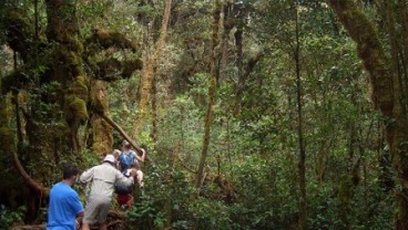 Malaysia Dilanda Hujan Terlebat Sepanjang 40 Tahun, Puluhan Wisatawan Terjebak