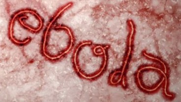 Korban Tewas Akibat Virus Ebola Capai 7.588 Orang