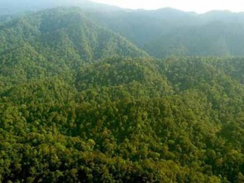 3.315 Rumah Tangga di Riau Tinggal di Kawasan Hutan