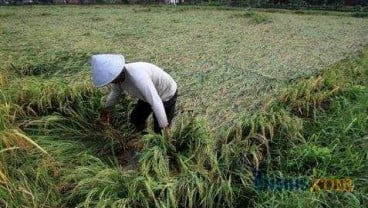 Kalimantan Timur Akan Bangun Irigasi 48.500 Hektare