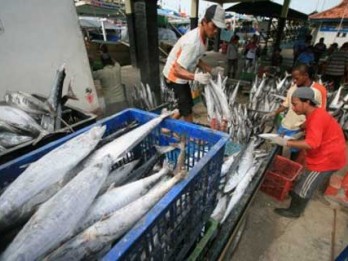 PLTU Celukan Tidak Pengaruhi Tangkapan Ikan Nelayan