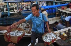 100 TON IKAN MATI: Petani Ikan Maninjau Rugi Hingga Rp2,9 Miliar