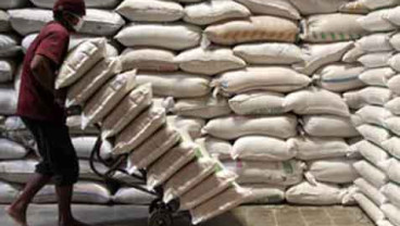 PRODUKSI BERAS: Pemerintah Diminta Ambil Langkah Terkait Stok Global