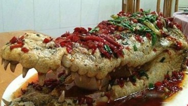 Kepala Buaya Disajikan di Pesta Pernikahan Ini