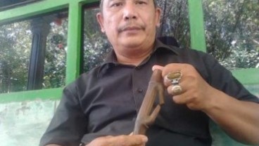 Wow, Sepotong Bambu Ini Ditawar Rp1 Miliar