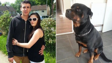 Kisah Anjing Penolong Wanita Hamil Saat Hendak Dirampok