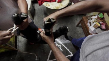 Dukun Ini Mampu Sembuhkan Pria Gay Hanya Dalam Waktu 20 Menit