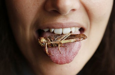 Bahayakah Menelan Serangga? Ini Penjelasannya