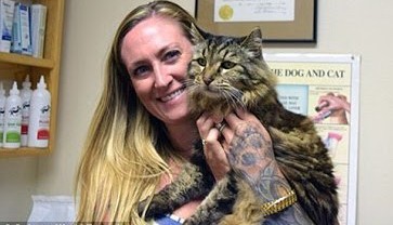 Kucing Tertua di Dunia Berusia 26 Tahun
