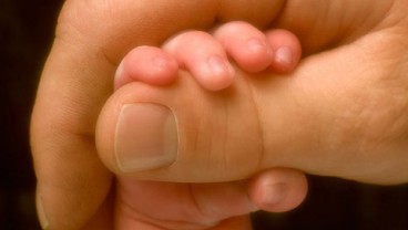 Astaga! Tikus Makan Bayi Baru Lahir Hingga Tewas