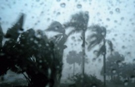 Florida Umumkan Darurat Badai Topan Tropis