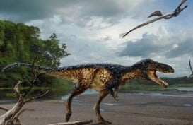 Leluhur T-Rex Ini Dikenal Lebih Pintar dan Memiliki Indra Canggih