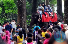 LONG WEEKEND: Kebun Binatang, Alun-alun & Taman Lalu Lintas Mulai Padat Pengunjung