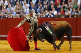 Matador Profesional Tewas Ditanduk Banteng Saat Berlaga