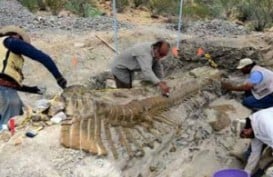 Ada Jejak Kaki Dinosaurus di Bolivia