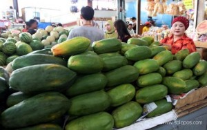 Pepaya Wonosobo Masuki Pasar Thailand