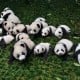 Panda Kembar Lahir di China