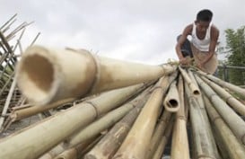 Petani Kenya Bisa Kaya dari Pohon Bambu